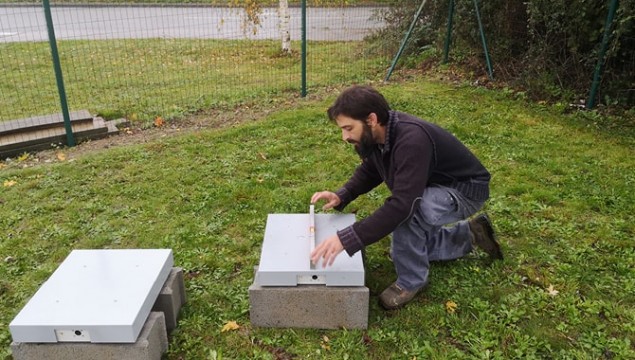 Abeilles gustave rideau