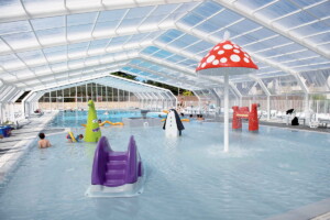 abri de piscine pro